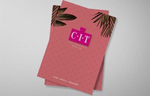 c_cit 마케팅본 홈페이지 제작 이미지