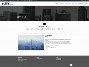 r_euBIZ_2 마케팅본 홈페이지 제작 문의 이미지1